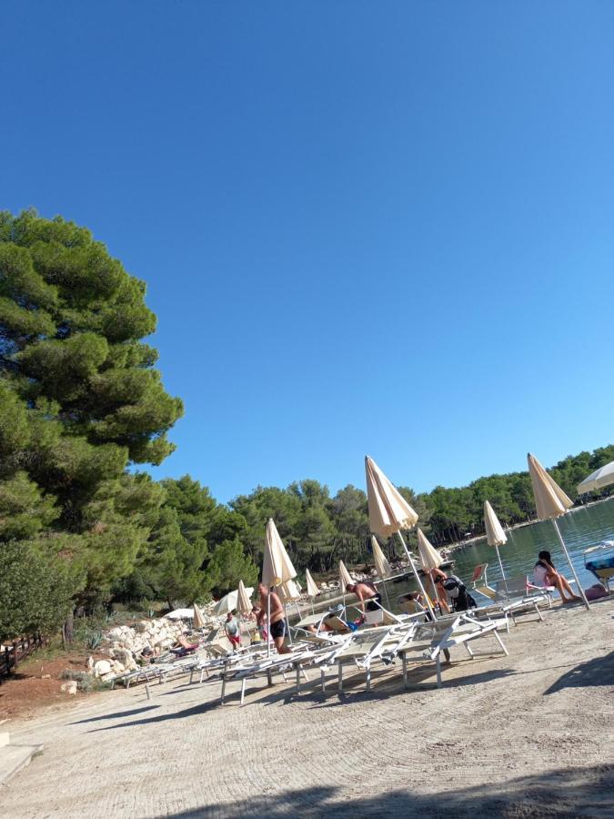 Silva Biograd Na Moru